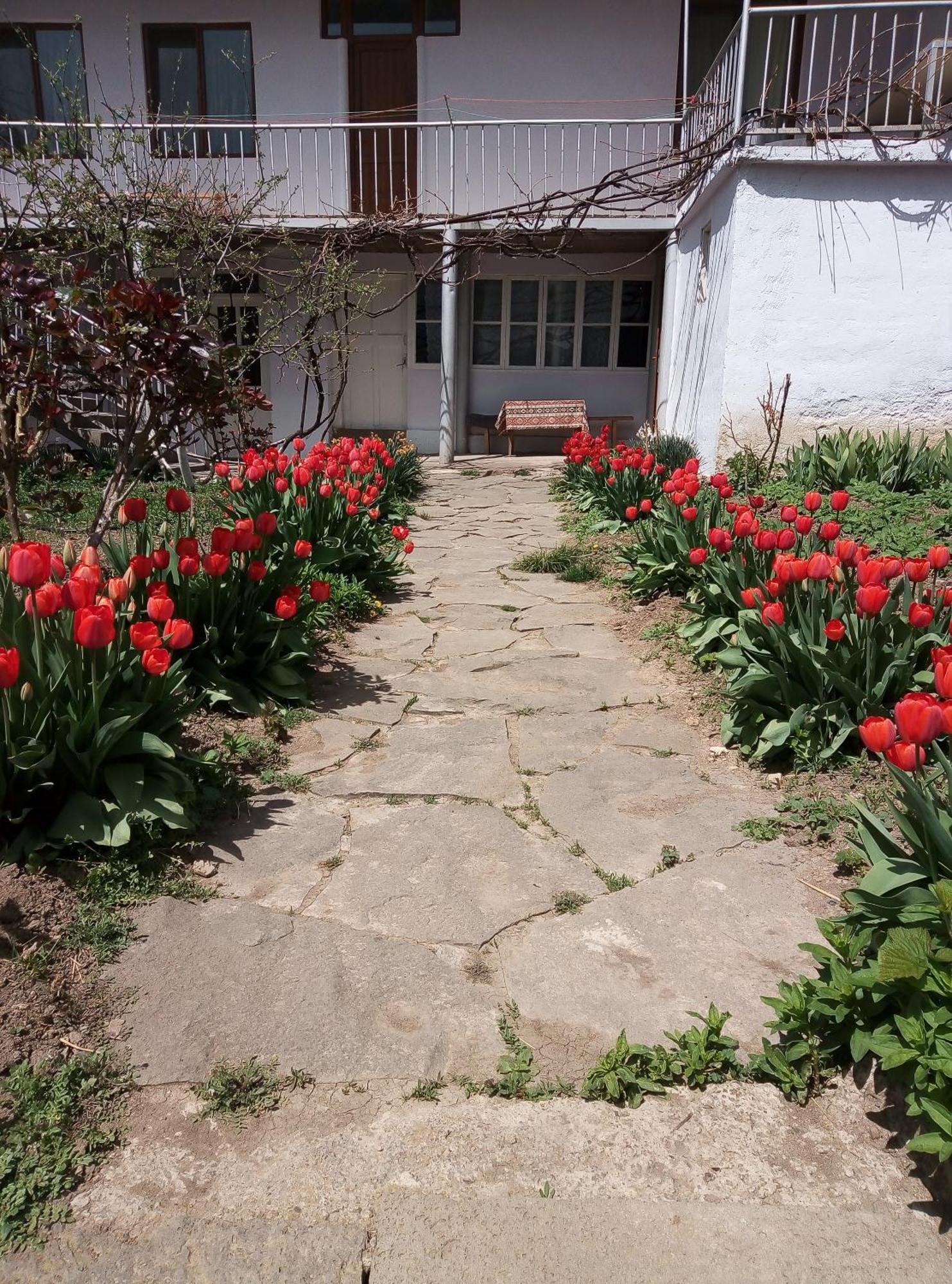 Aspet B&B Tatev Kültér fotó